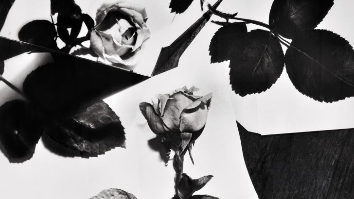 Florence Henri, composition NATURE MORTE (Roses), 1931